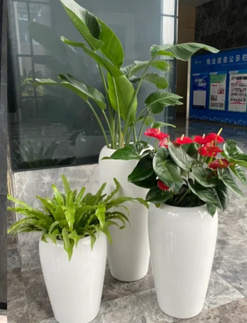 北仑花木租赁管理原来还能这样用，太实用了